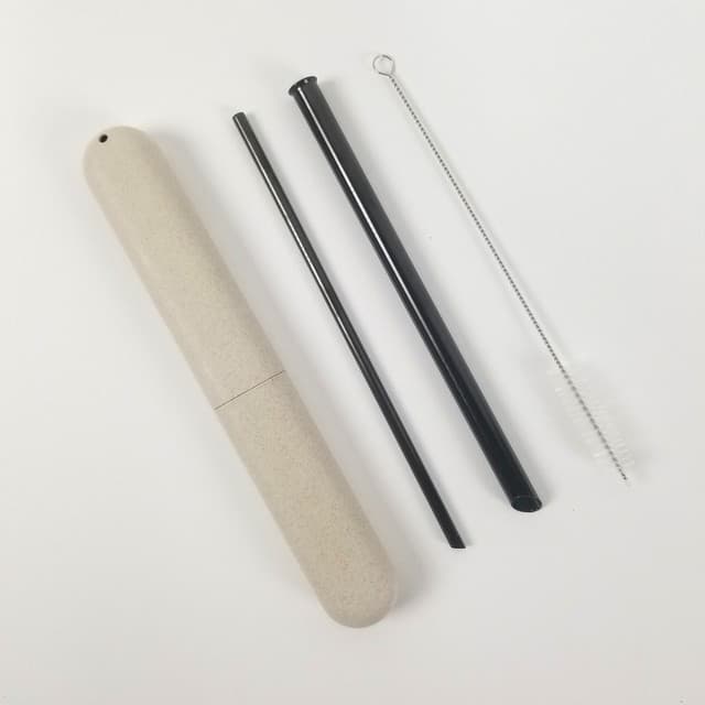 Reusable Stainless Steel Straws, Black, Set of 2 with Cleaner, Eco Friendly, Beige Box