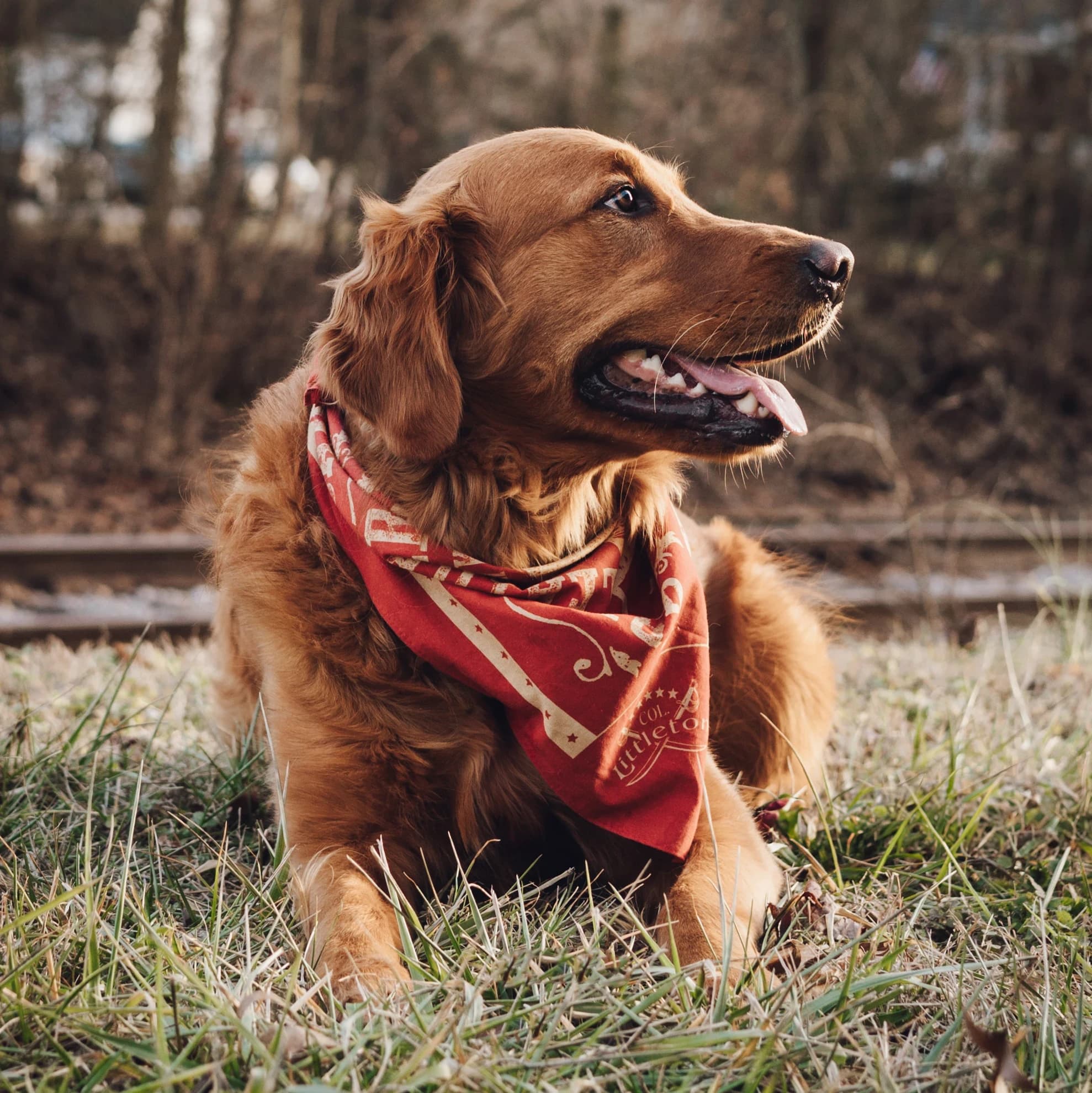 Col. Littleton Bandana - thumbnail 4