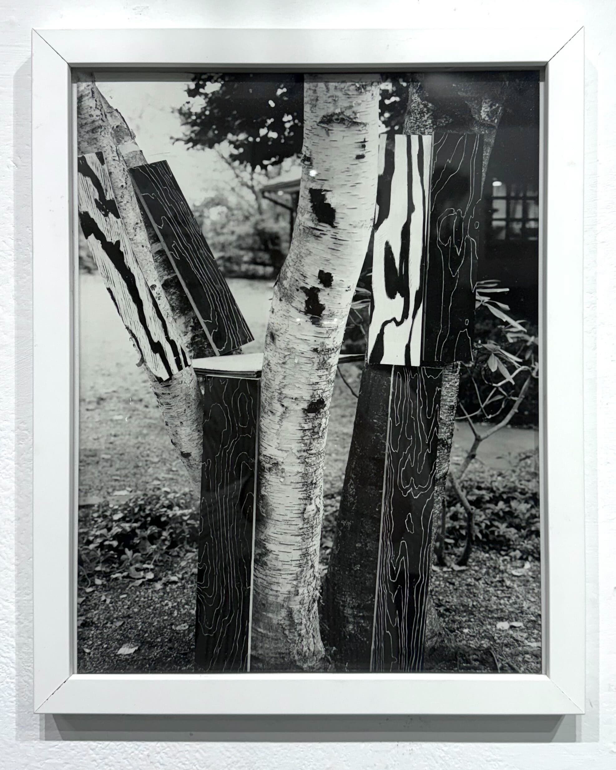 Martin Prekop photograph Tree Construction from Mirror House