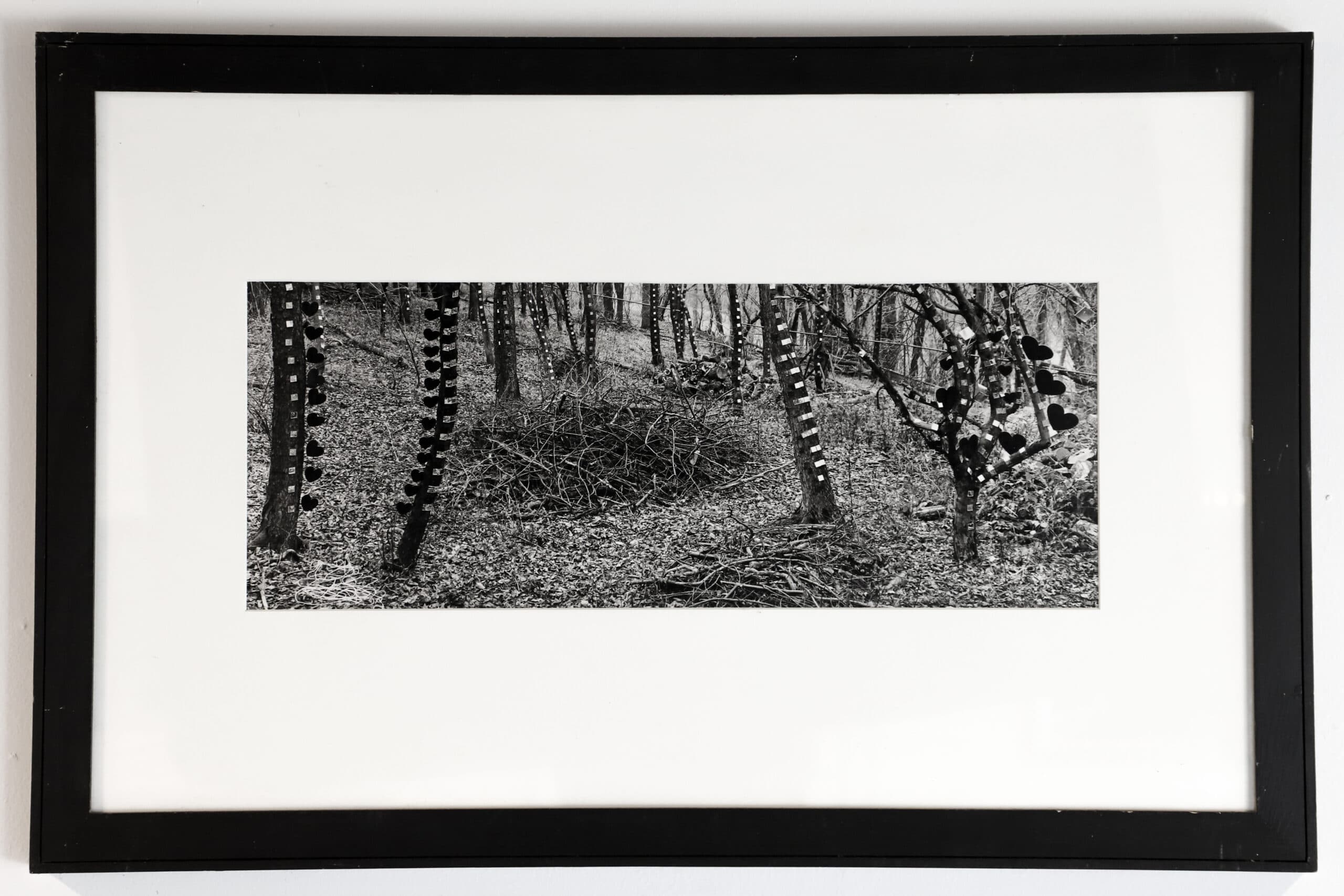 Martin Prekop photograph Mirrored Trees, Back Yard, House 1993-2007 Series