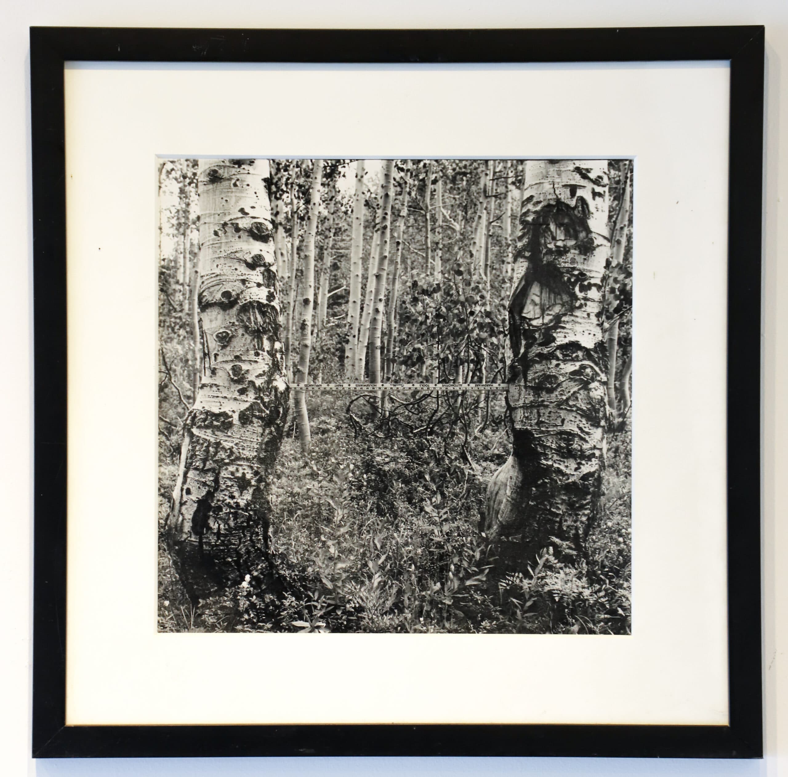 Martin Prekop 1970 photograph Landscape with Tape Measure