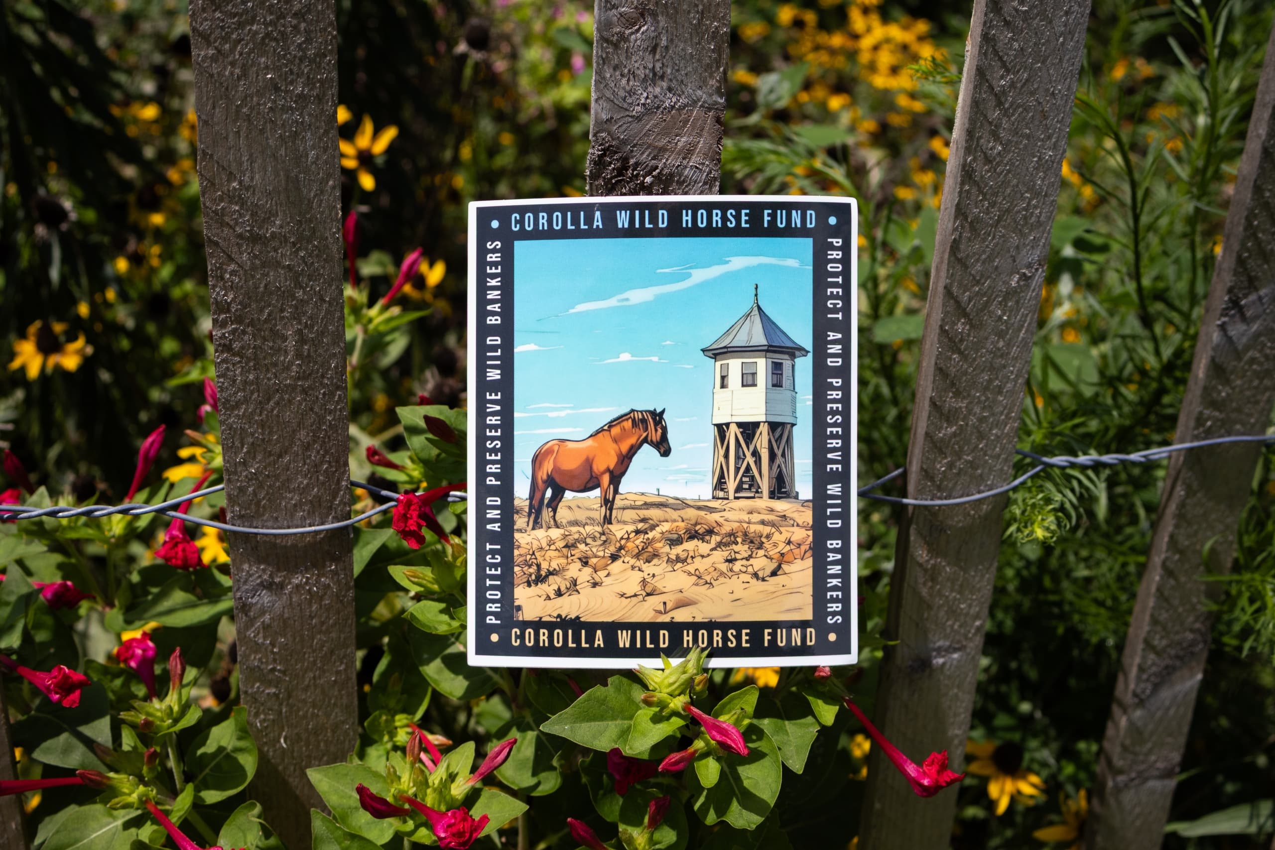 Protect and Preserve Sticker