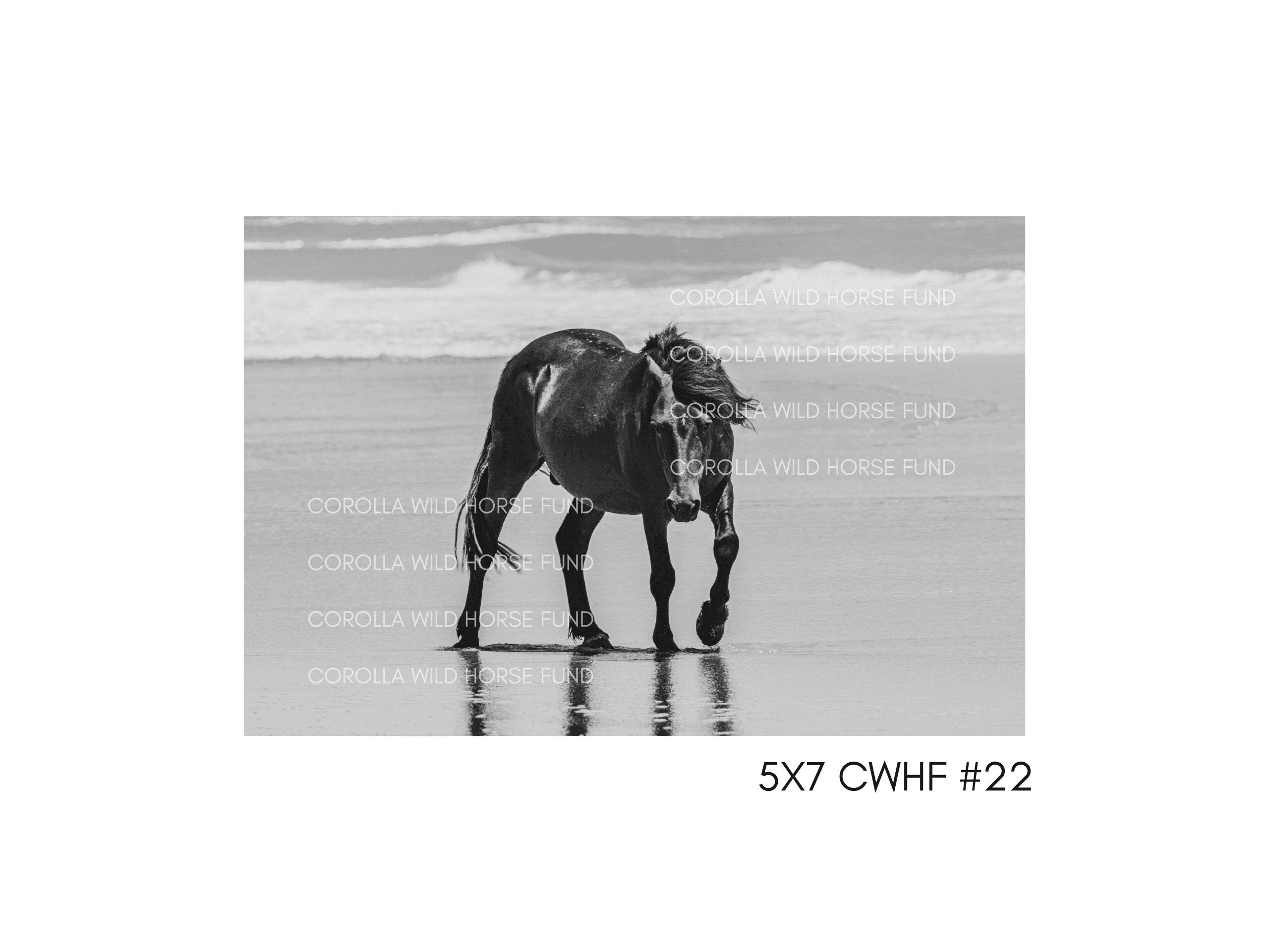 5×7 CWHF #22