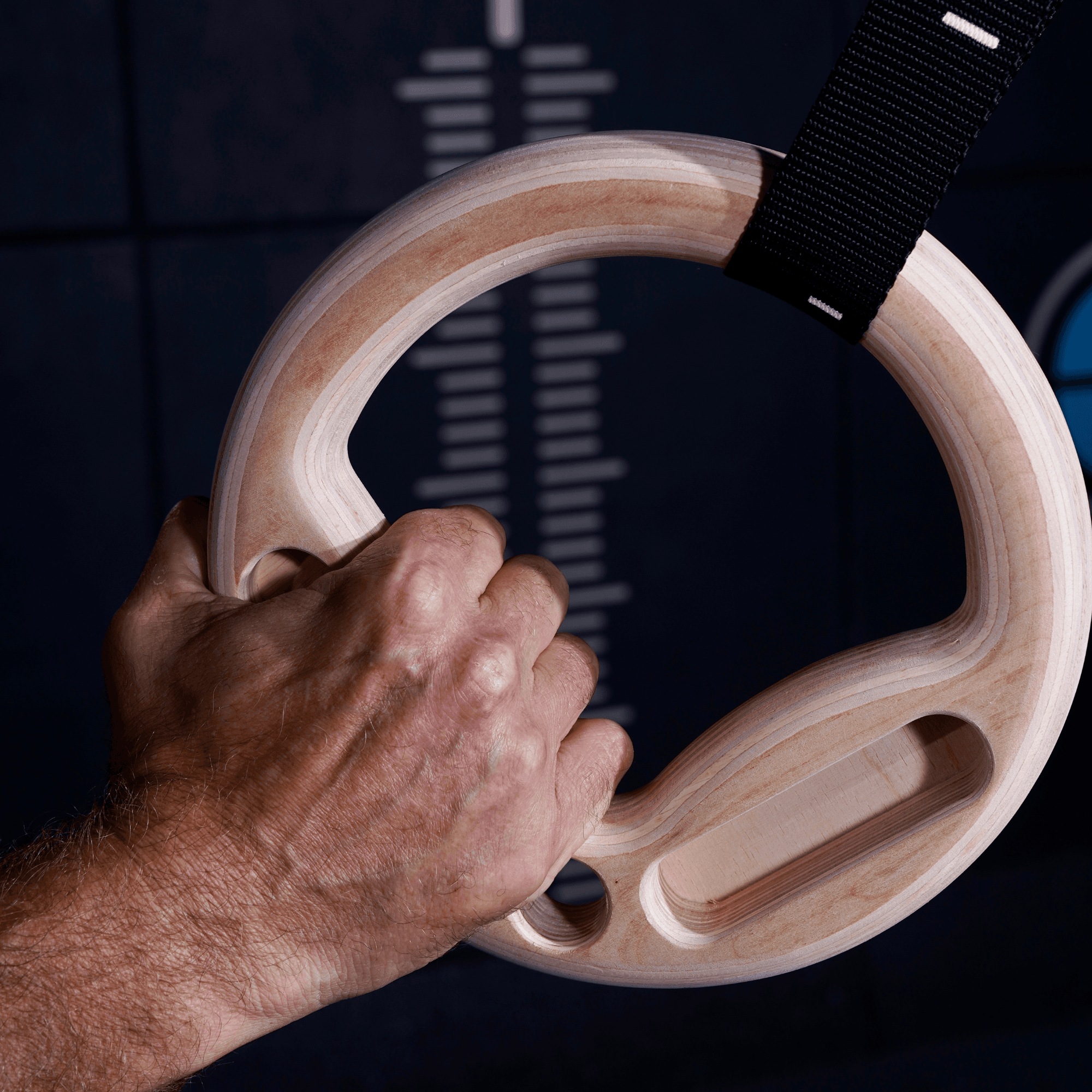 Gym Ring Straps (Pair – 1″) - thumbnail 7