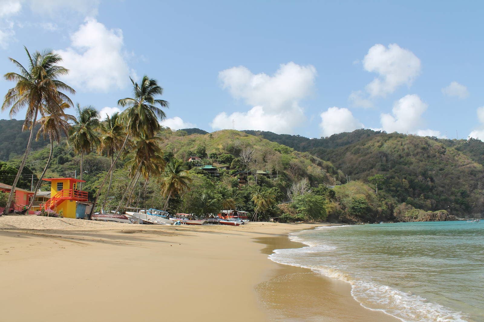 Tobago’s Highlights! (Half-Day Tour) - thumbnail 4