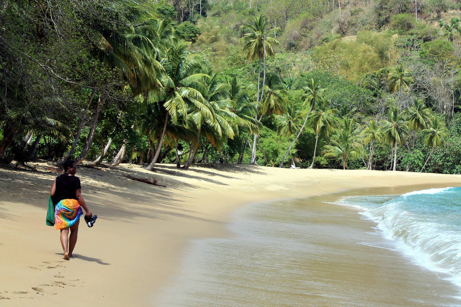 Tobago’s Highlights! (Half-Day Tour) - thumbnail 5