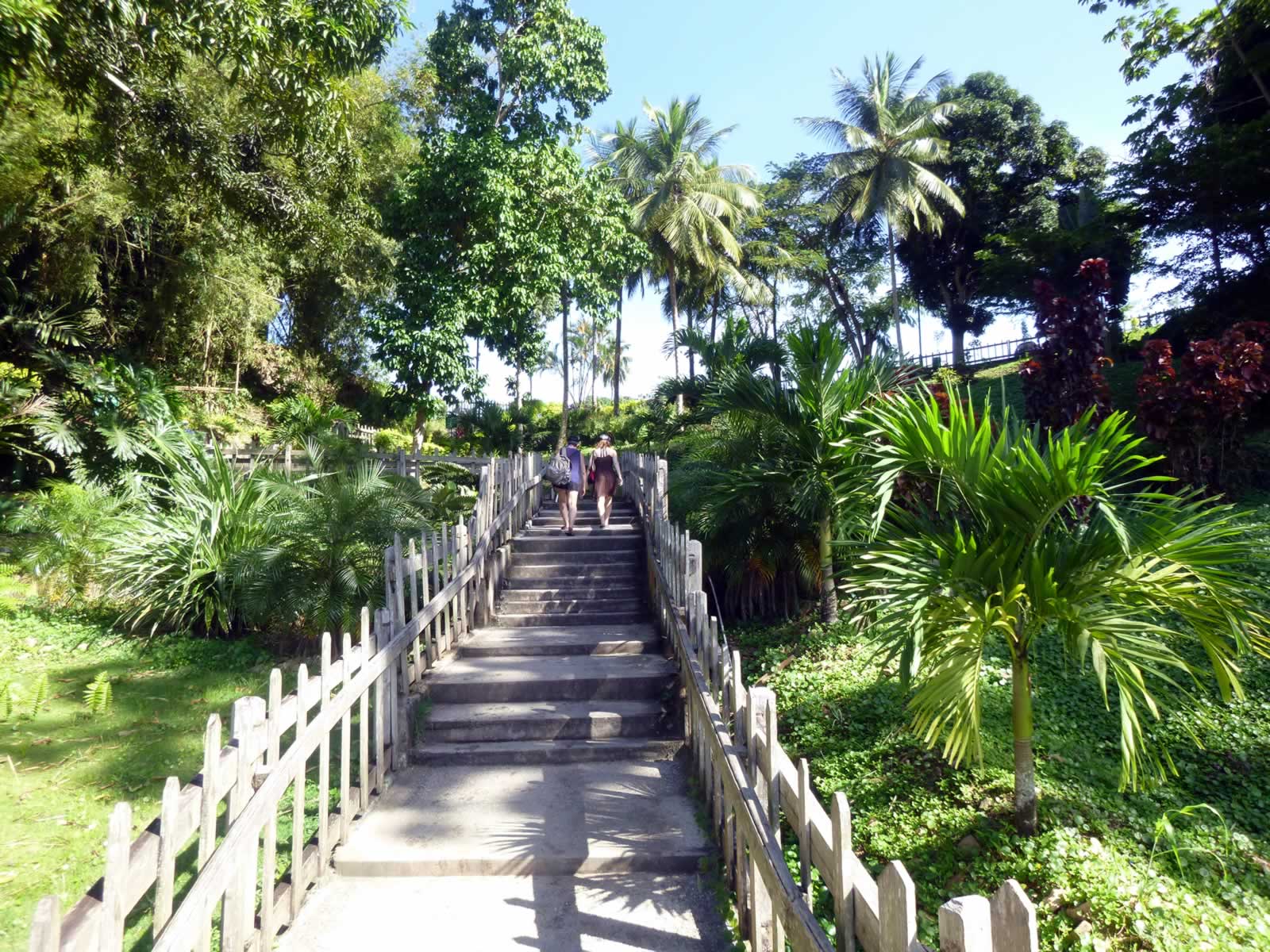 Trinidad Zipline Adventure - thumbnail 9