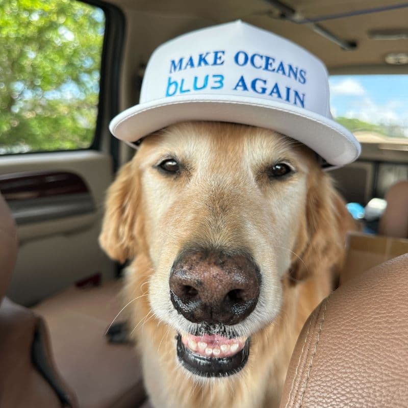 Make Oceans BLU3 Again Hat - thumbnail 3