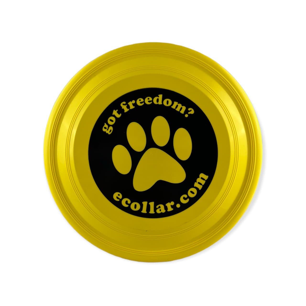 Frisbee