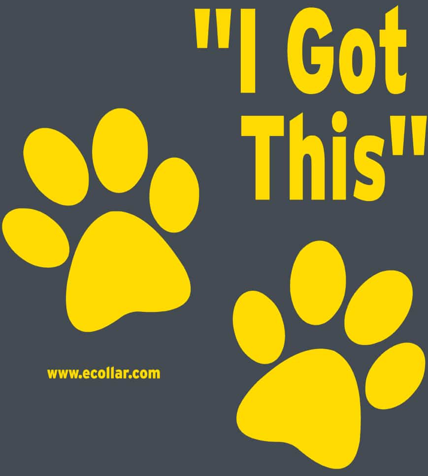 I Got This – T-Shirt - thumbnail 2