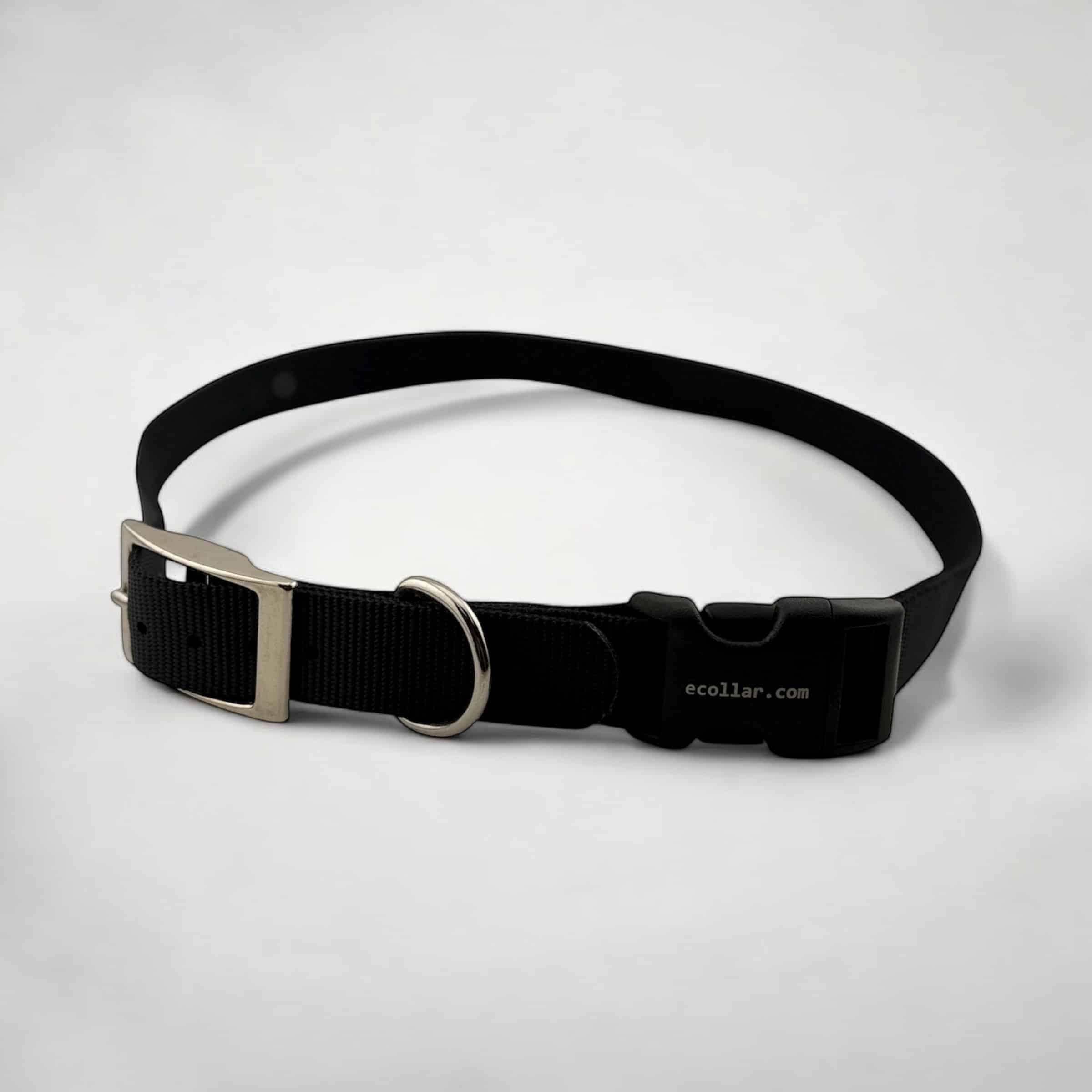 Black 1″ Nylon Collar With Buckle
