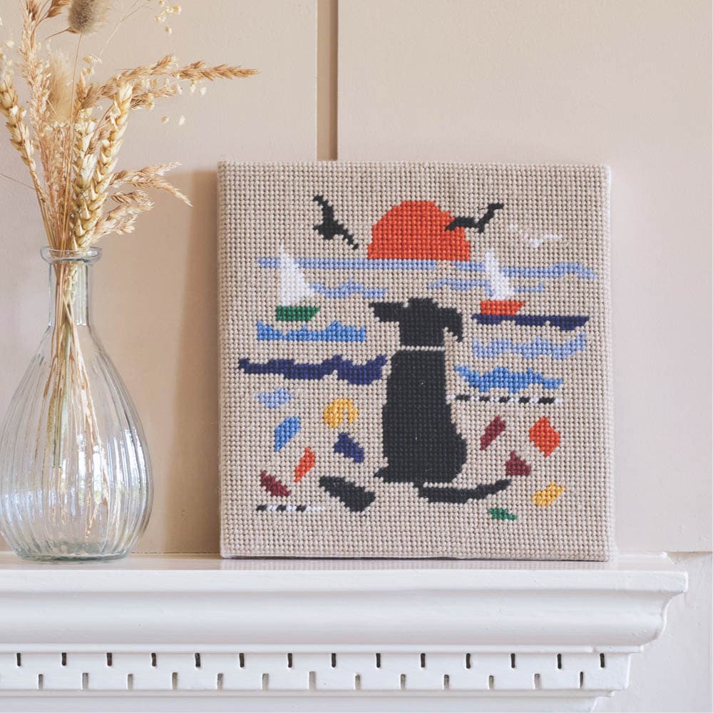 Sea Dog Mini