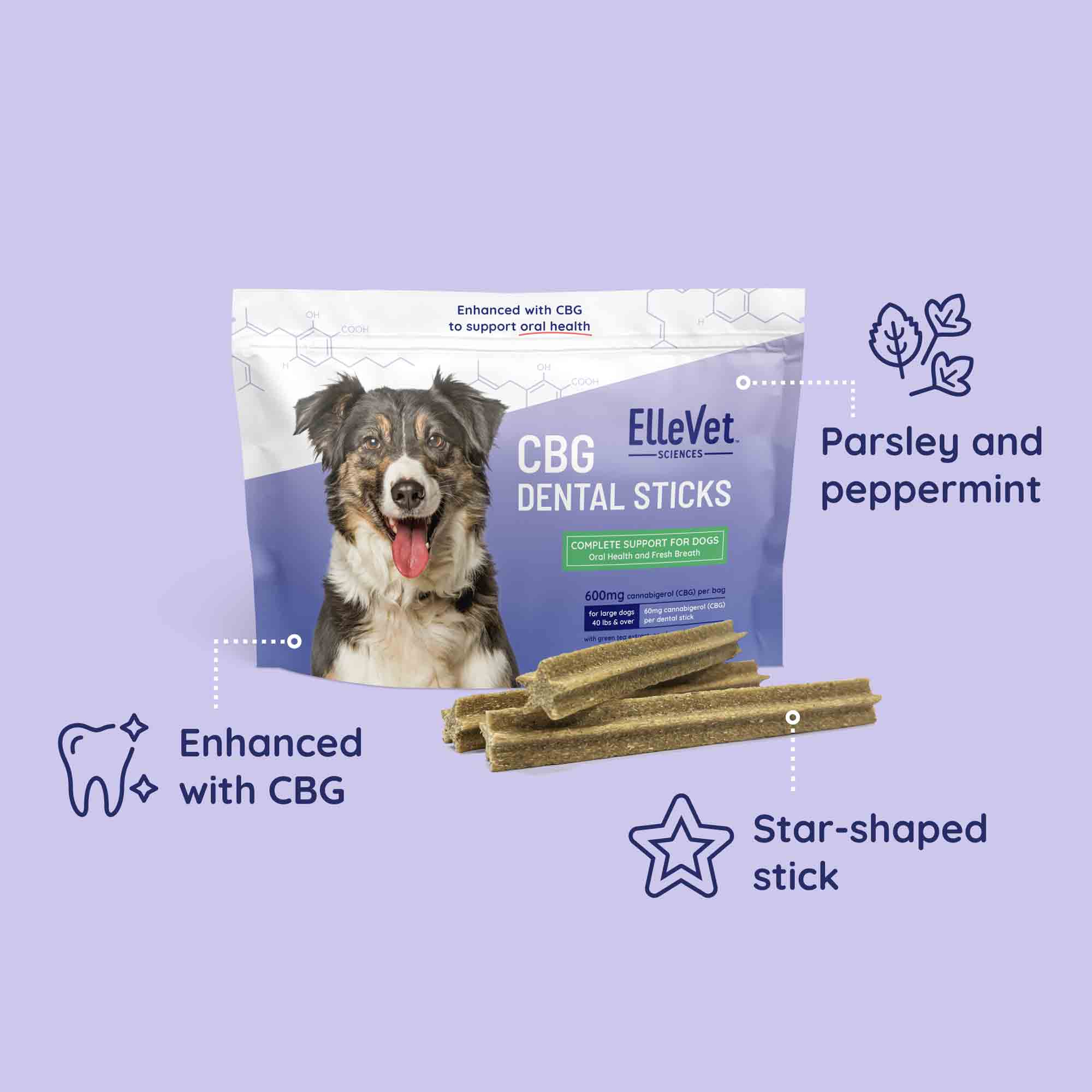 Hemp CBG Dental Sticks - thumbnail 4