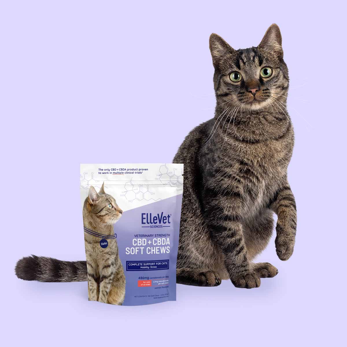 Hemp CBD Chews for Cats - thumbnail 3