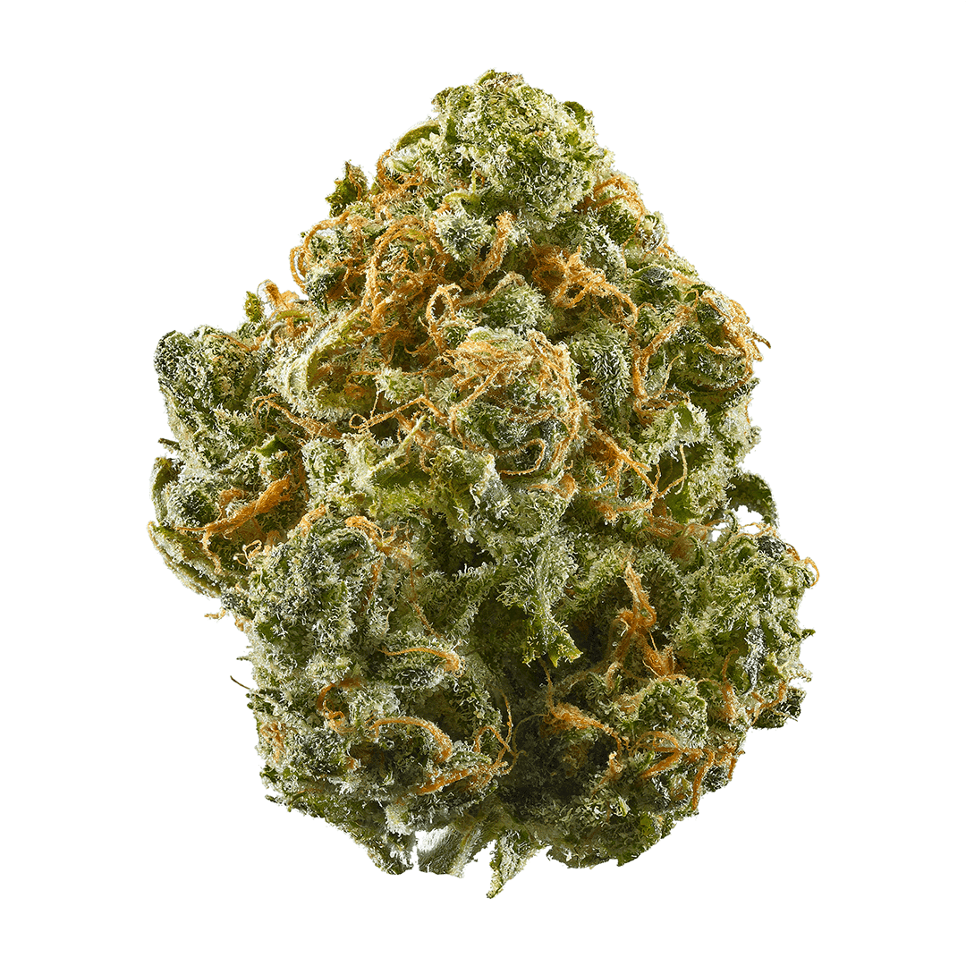 Blue Dream – THCa Flower