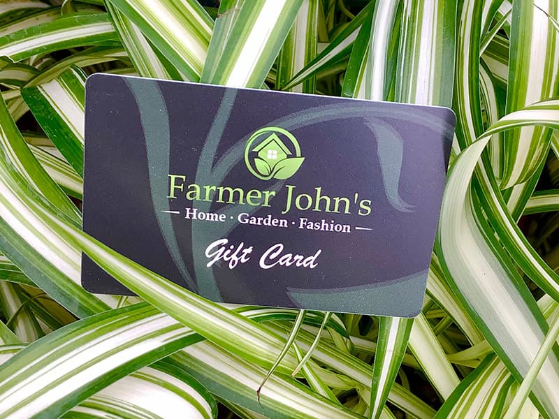 $10 Gift Card