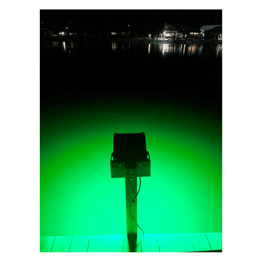 DockPro 16,000 – 60-degree Dock Light - thumbnail 6