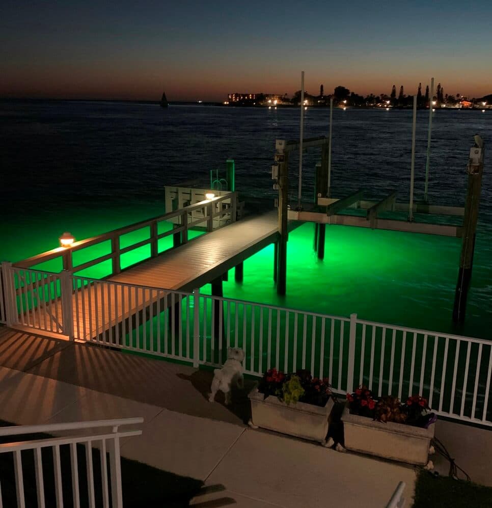DockPro 16,000 – 60-degree Dock Light - thumbnail 9