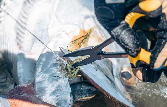 Loon Apex Needle Nose Pliers - thumbnail 2