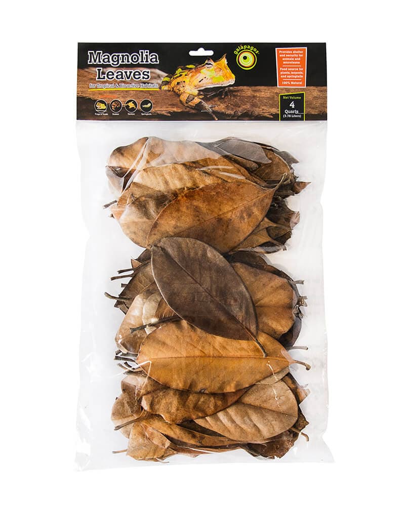 Natural Magnolia Leaf Litter, 4QT