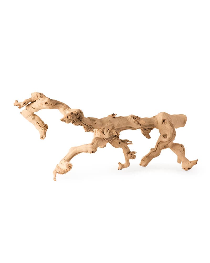 Galápagos Walking Wood™ 19-24 in