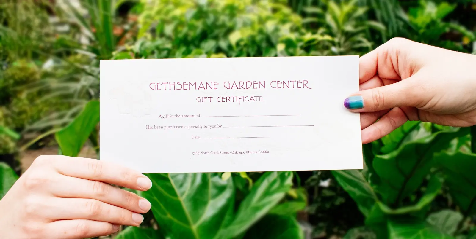 Gift Certificate - thumbnail 4
