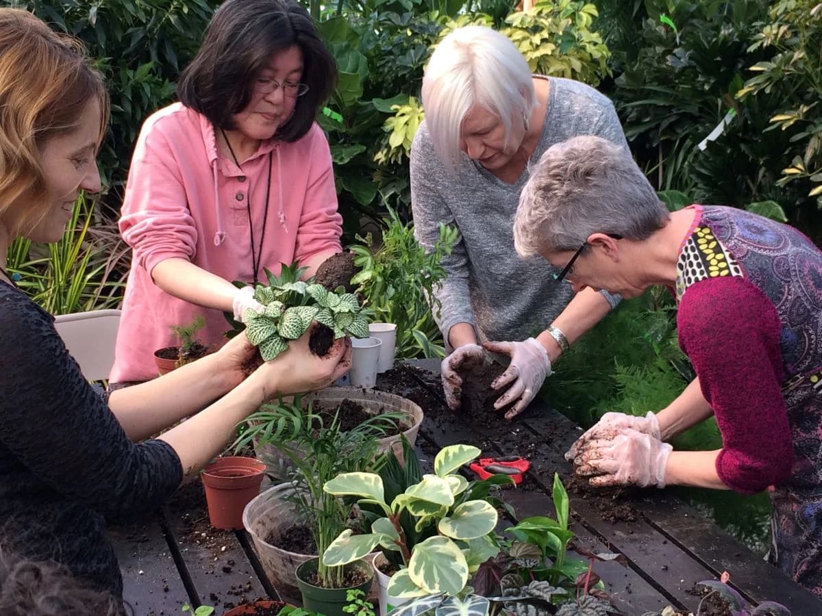 10/11/2026 – Classic Kokedama Workshop - thumbnail 2