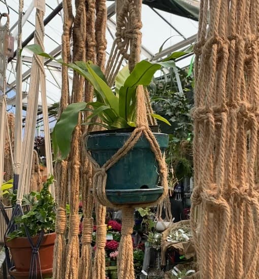 09/27/2026 – Macrame Magic: Create Your Own Hanging Planter Workshop - thumbnail 2