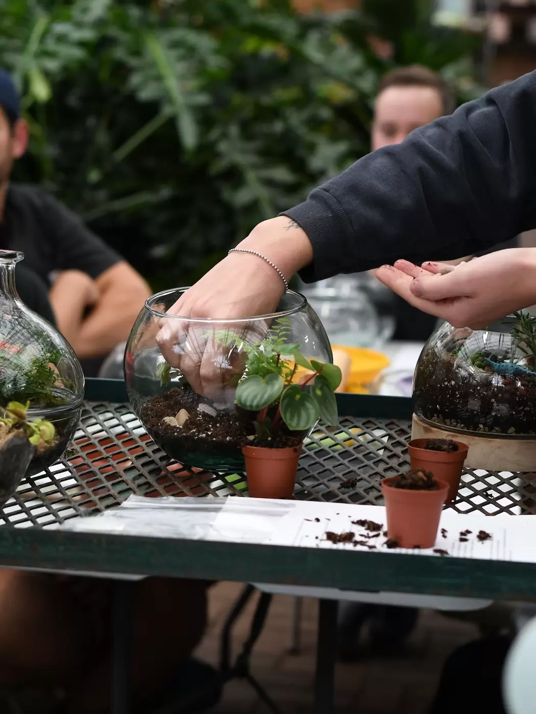 10/10/2026 – Classic Terrarium Workshop