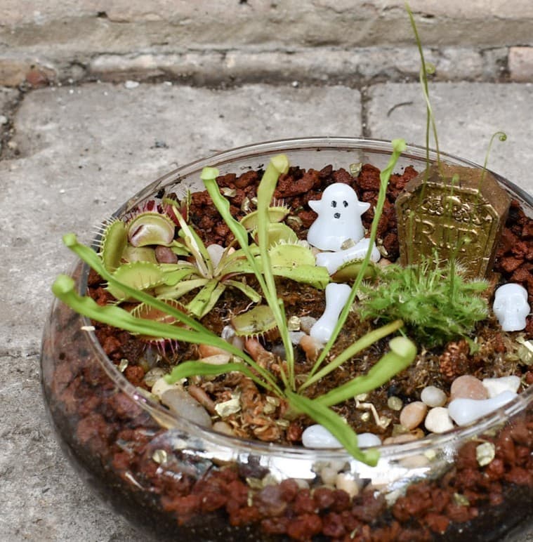 10/18/2026 – Spooky Bog Making Workshop