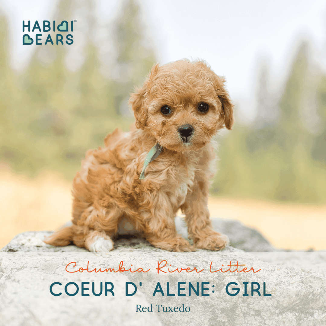 Familiar Start Prep School: Coeur d’ Alene : Girl