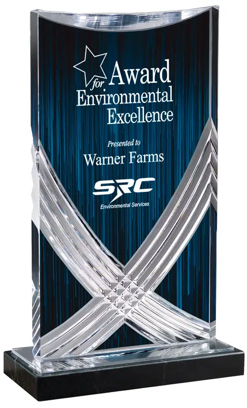 Blue Nexus Acrylic Award