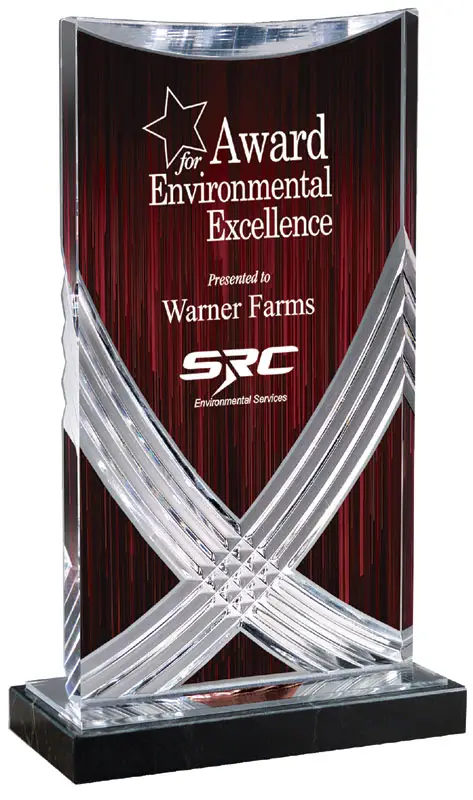 Red Nexus Acrylic Award