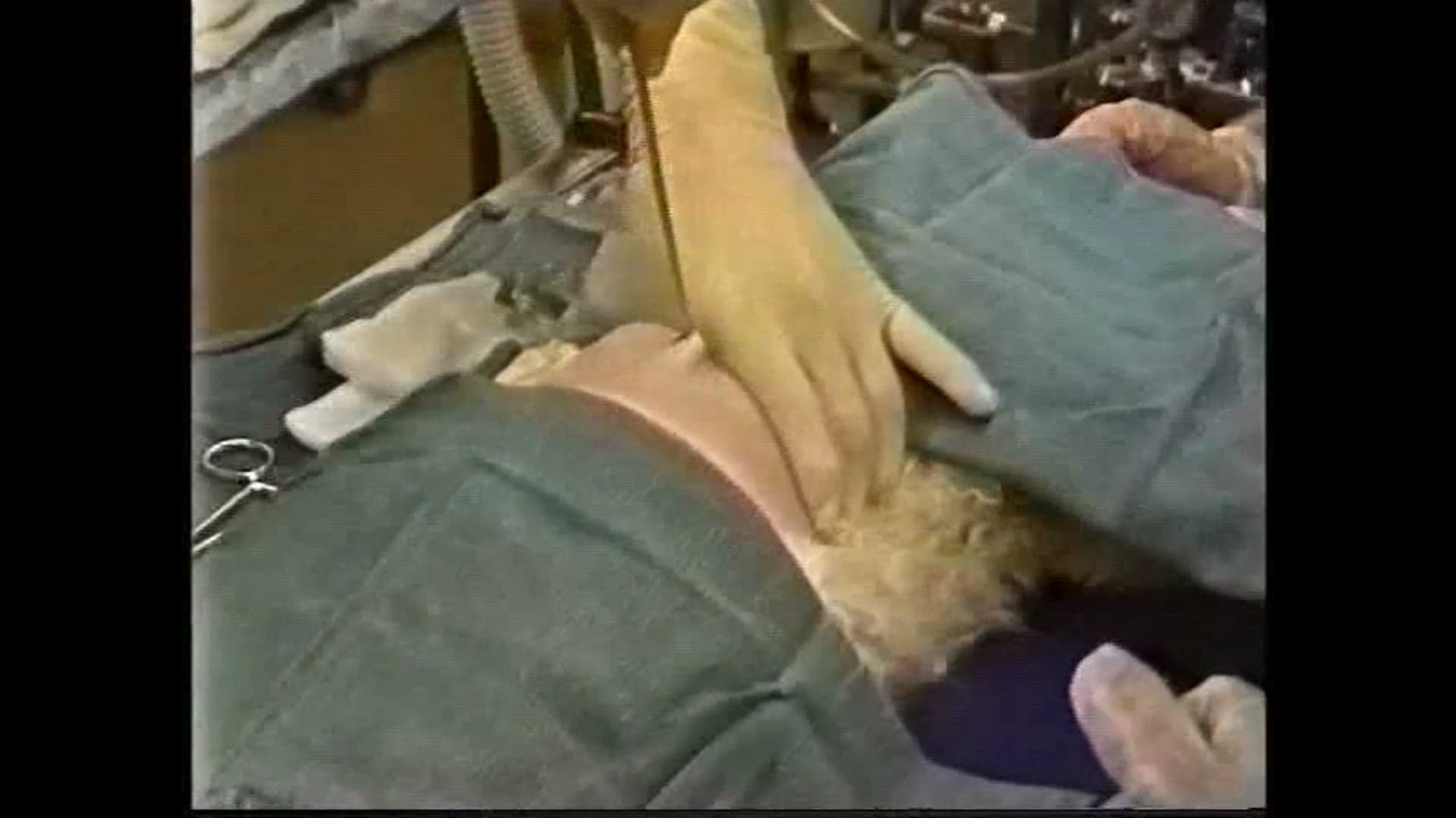 Chest drain placement in the cat – 3 techniques