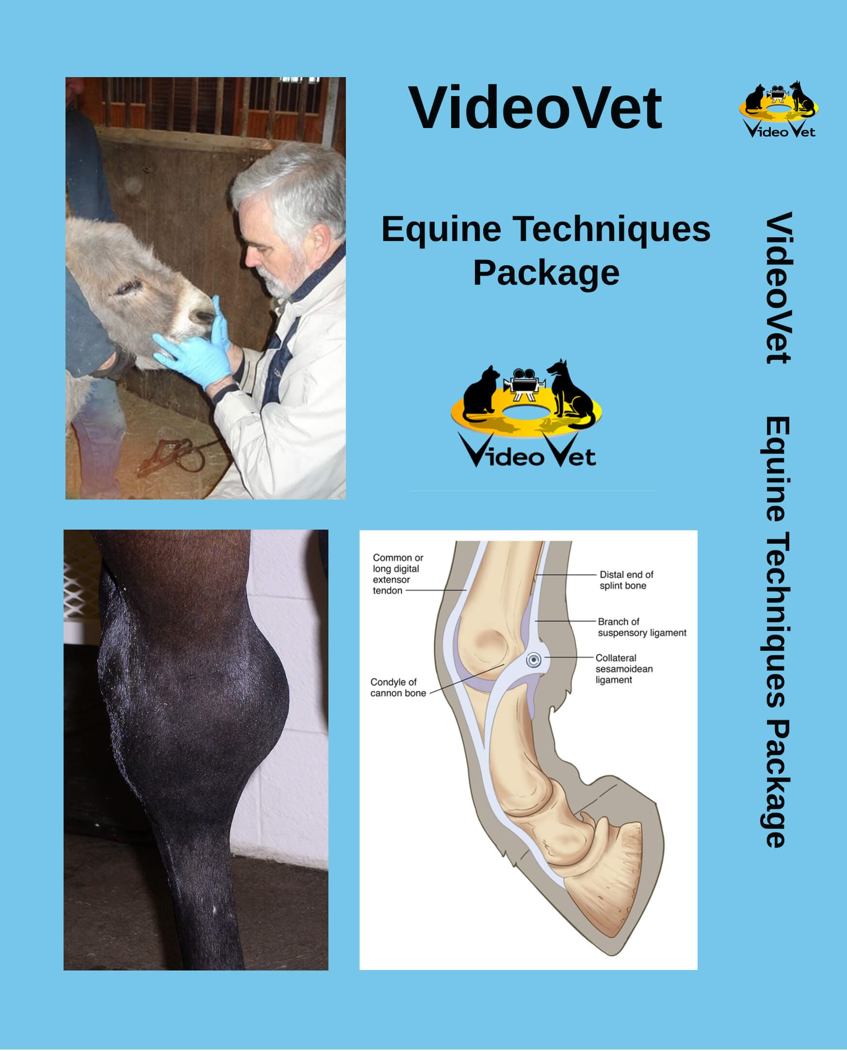 Equine Techniques Package