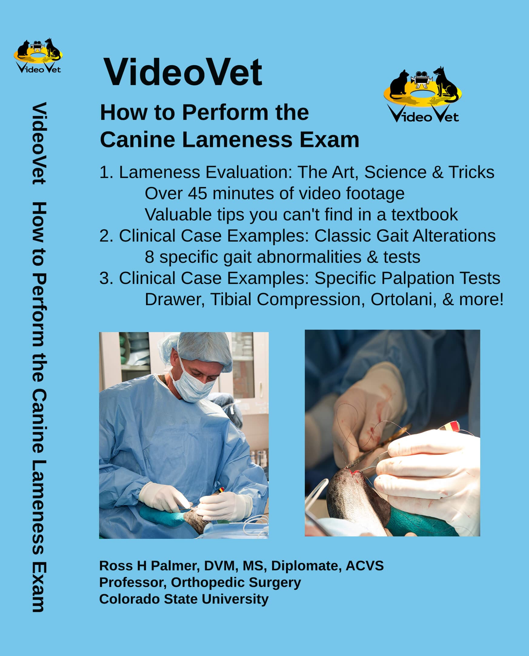 Canine Lameness Exam (12 procedures)