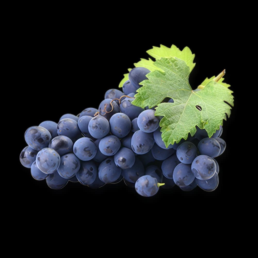 Pinot Noir: Grape, 36 lb. box Ship 2