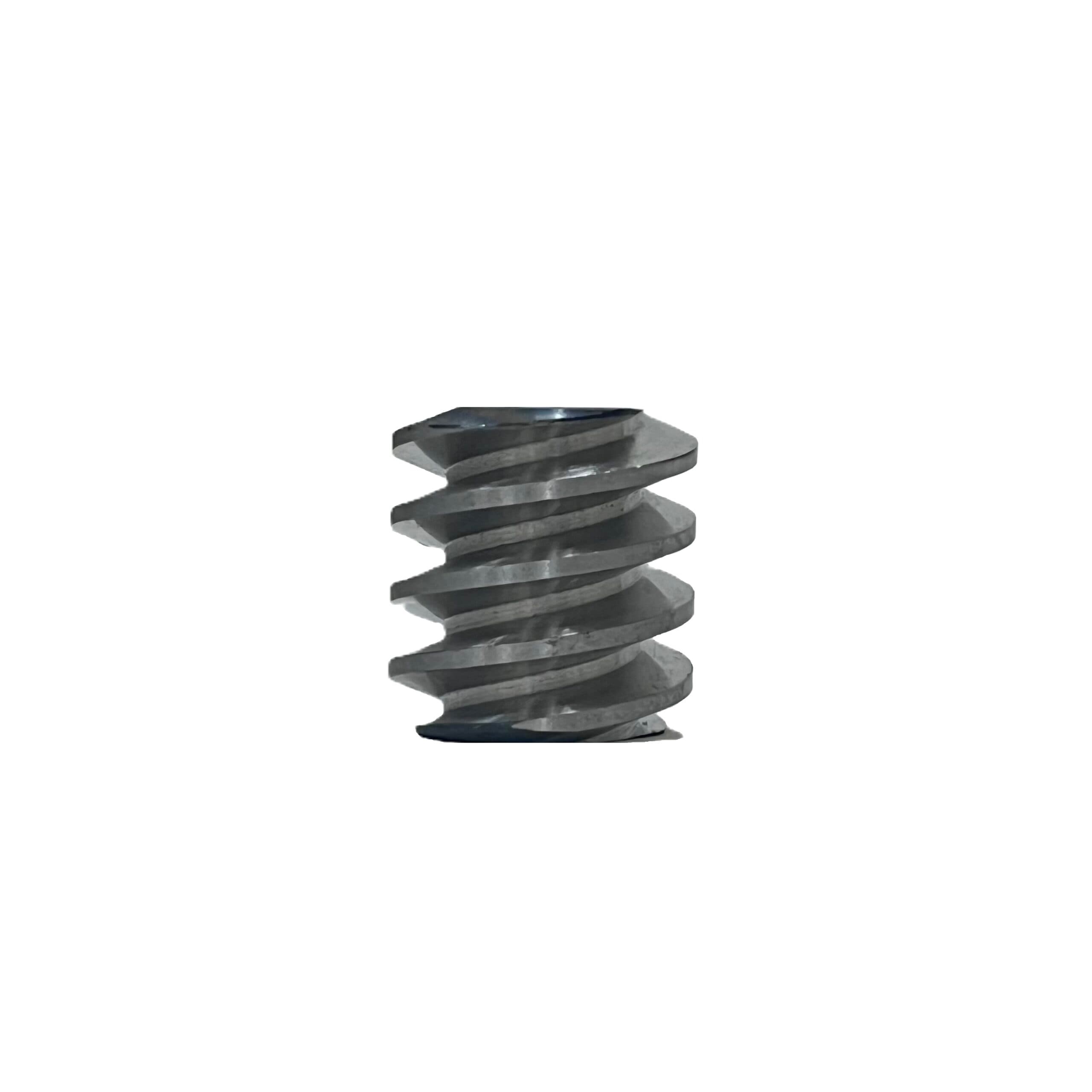 Worm Gear for TC-22 Meat Grinder - thumbnail 2
