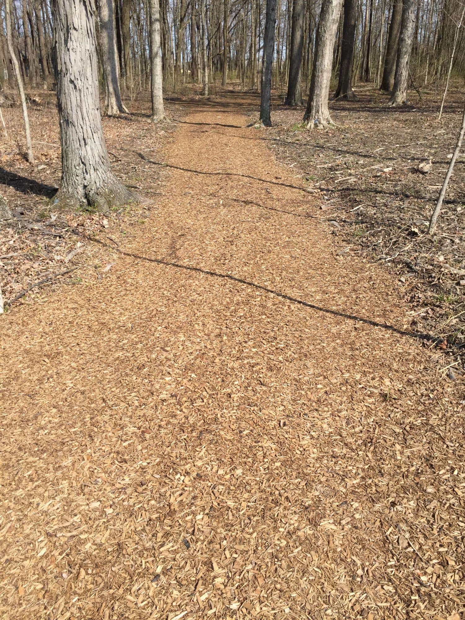 Economy Trailmix Mulch - thumbnail 8