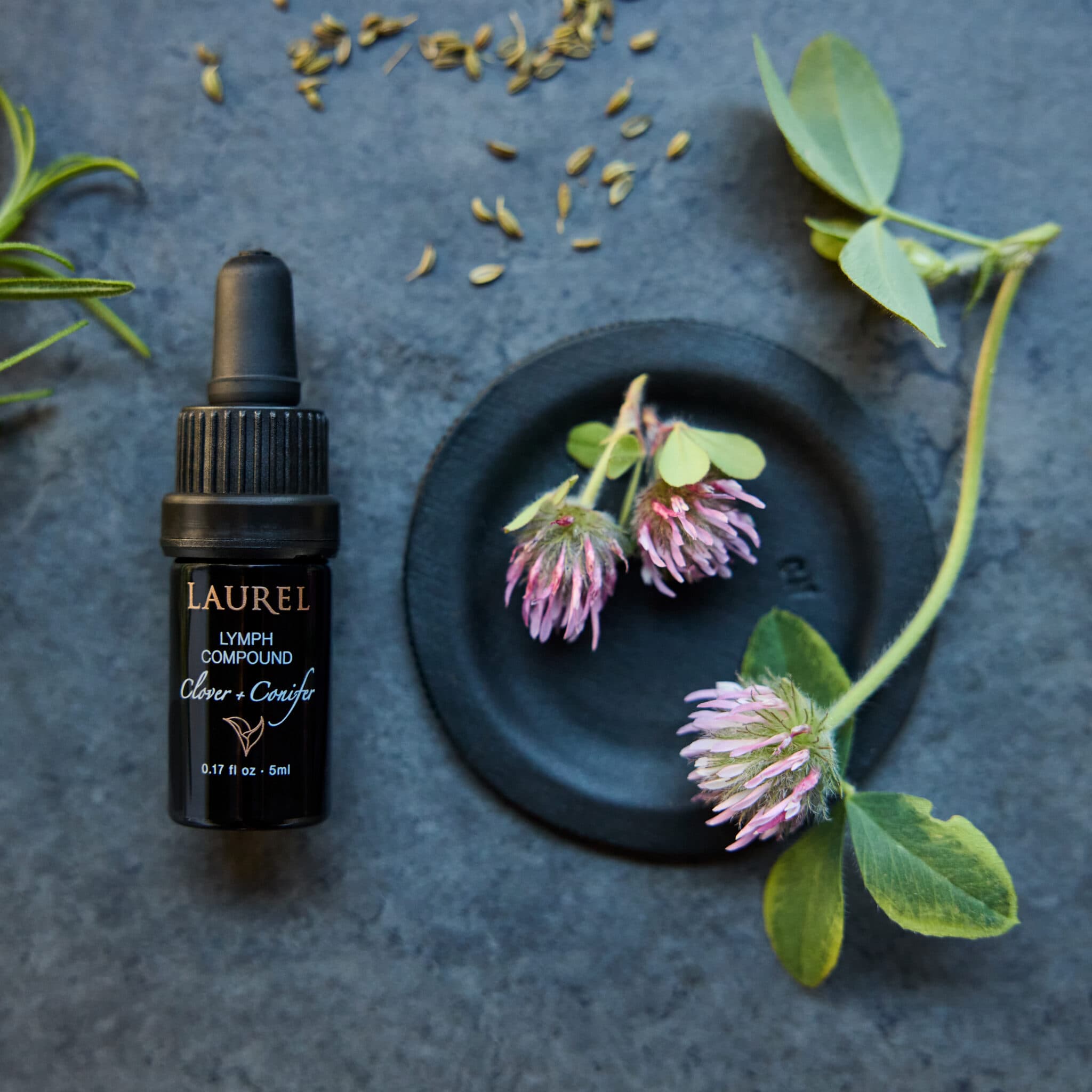 The Herbalist Collection - thumbnail 7