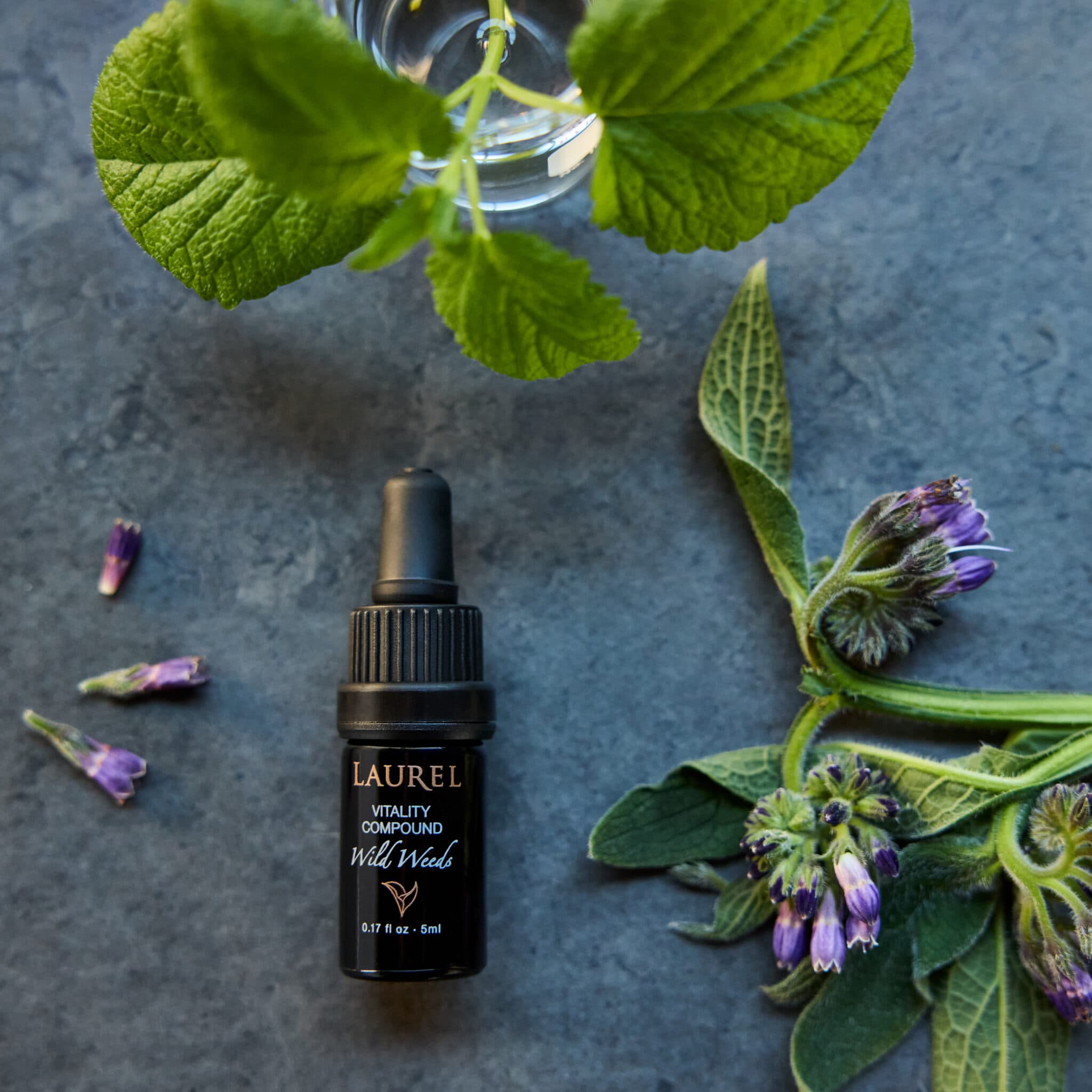 The Herbalist Collection - thumbnail 9