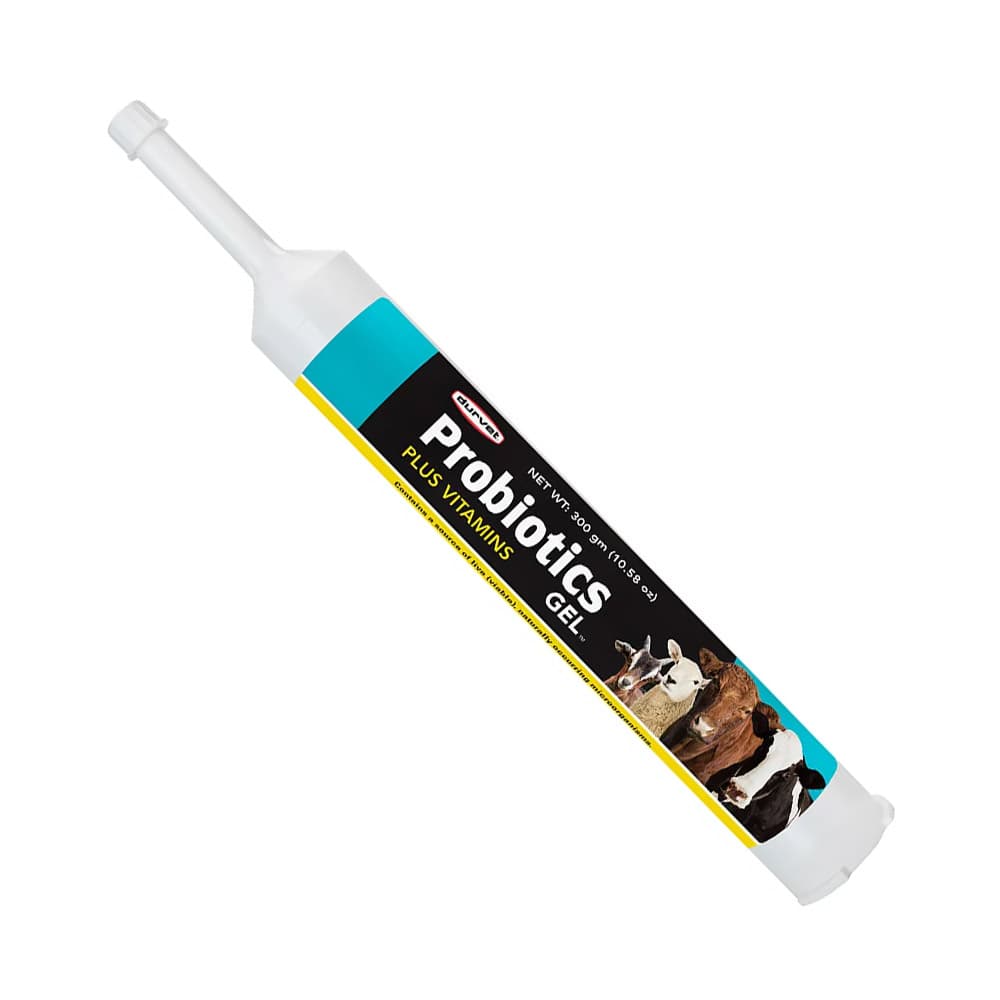 Probiotics Gel Plus Vitamins