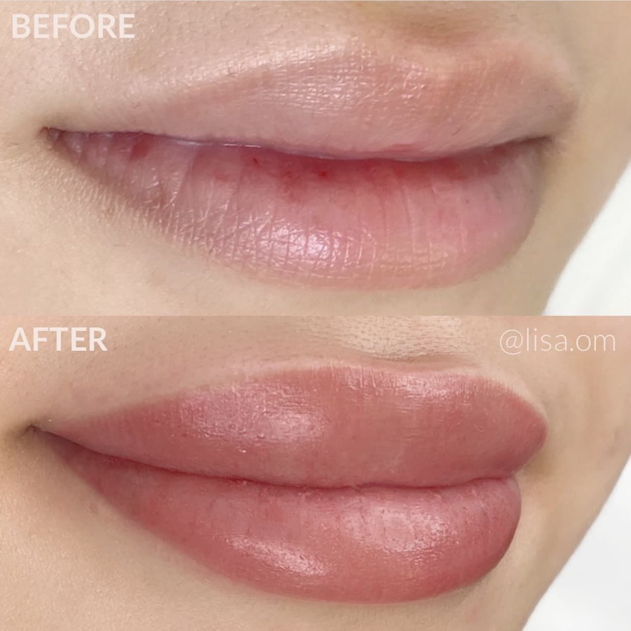 1-Day PHOENIX PMU Lip Blush & Lip Neutralization Training - thumbnail 5