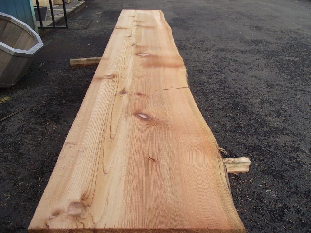 Cedar Live Edge Slabs