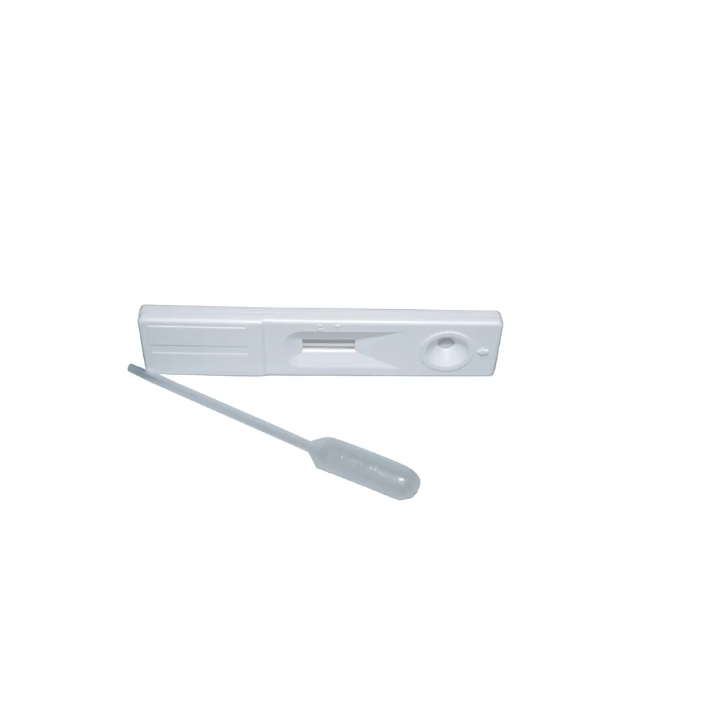 Pregnancy Test Kits