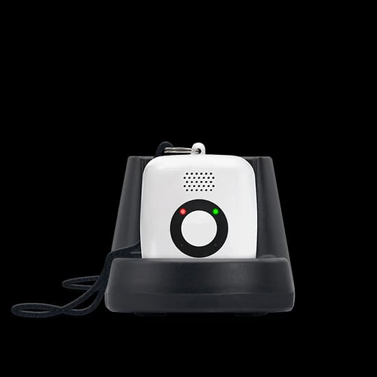 Mini Mobile System (Pendant) - thumbnail 3
