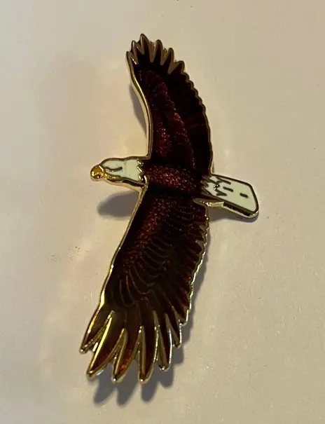 Enameled Raptor Pins, Bald Eagle