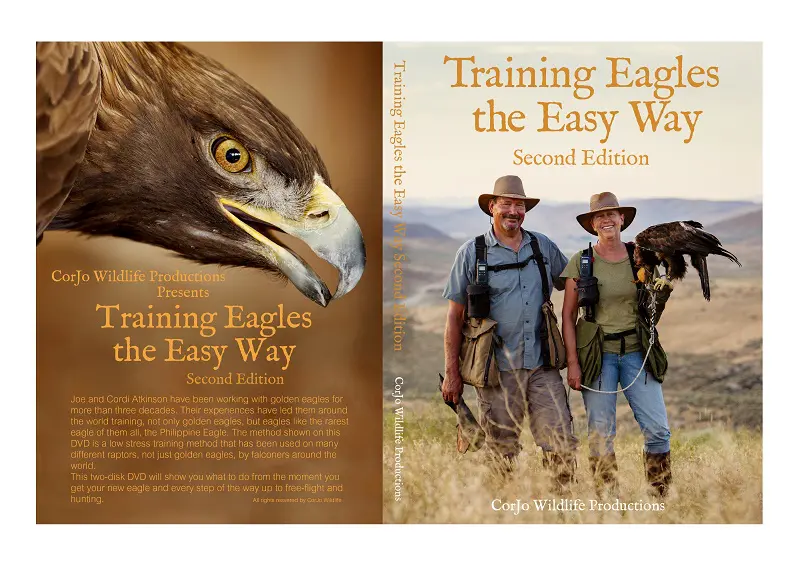 Training Eagles the easy way, by Joe Atkinson, new updated second Edition includes two DVD’s