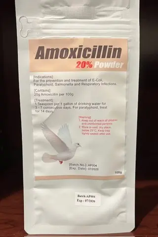 Amoxicillin Powder.