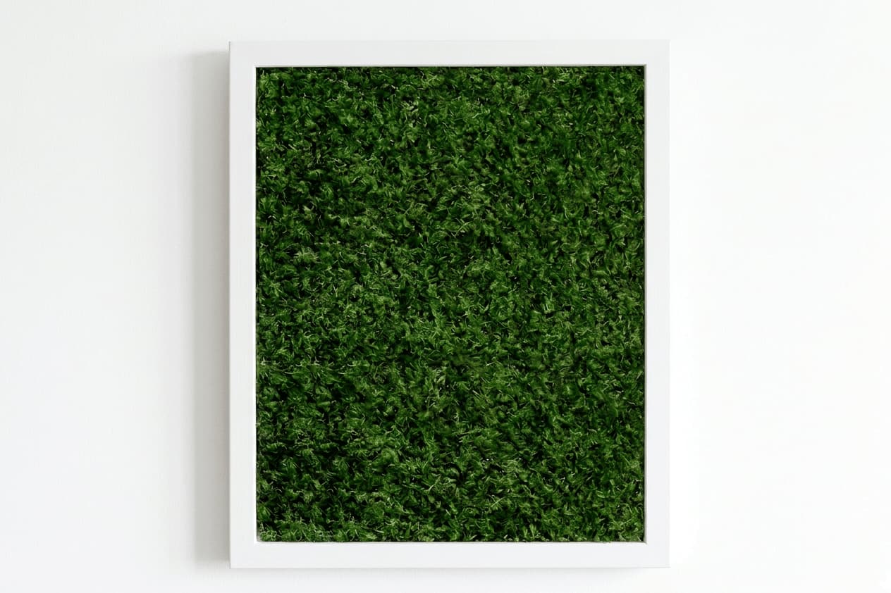 Live Sheet Moss Wall Art in White, 11″x14″
